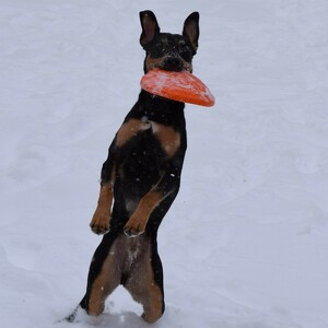 Fundraising Page: Liz Miller